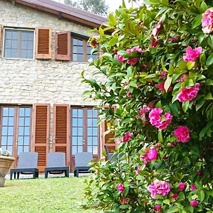  Willa Camelia Tuscany